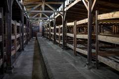 Auschwitz II - Birkenau