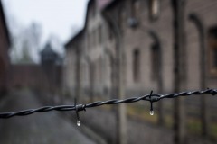 Auschwitz