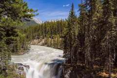 Athabasca River. Jasper National Park, BC