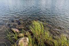 Patricia Lake. Jasper National Park, AB