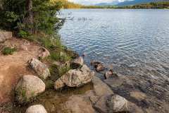 Patricia Lake. Jasper National Park, AB