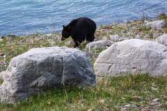 Jasper National Park, AB