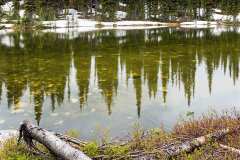 Mount Revelstoke National Park, BC