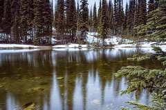 Mount Revelstoke National Park, BC