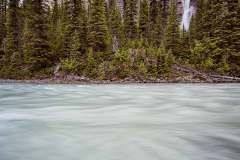 Yoho River.  Yoho National Park, BC