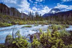 Glacier Daly River.  Yoho National Park, BC