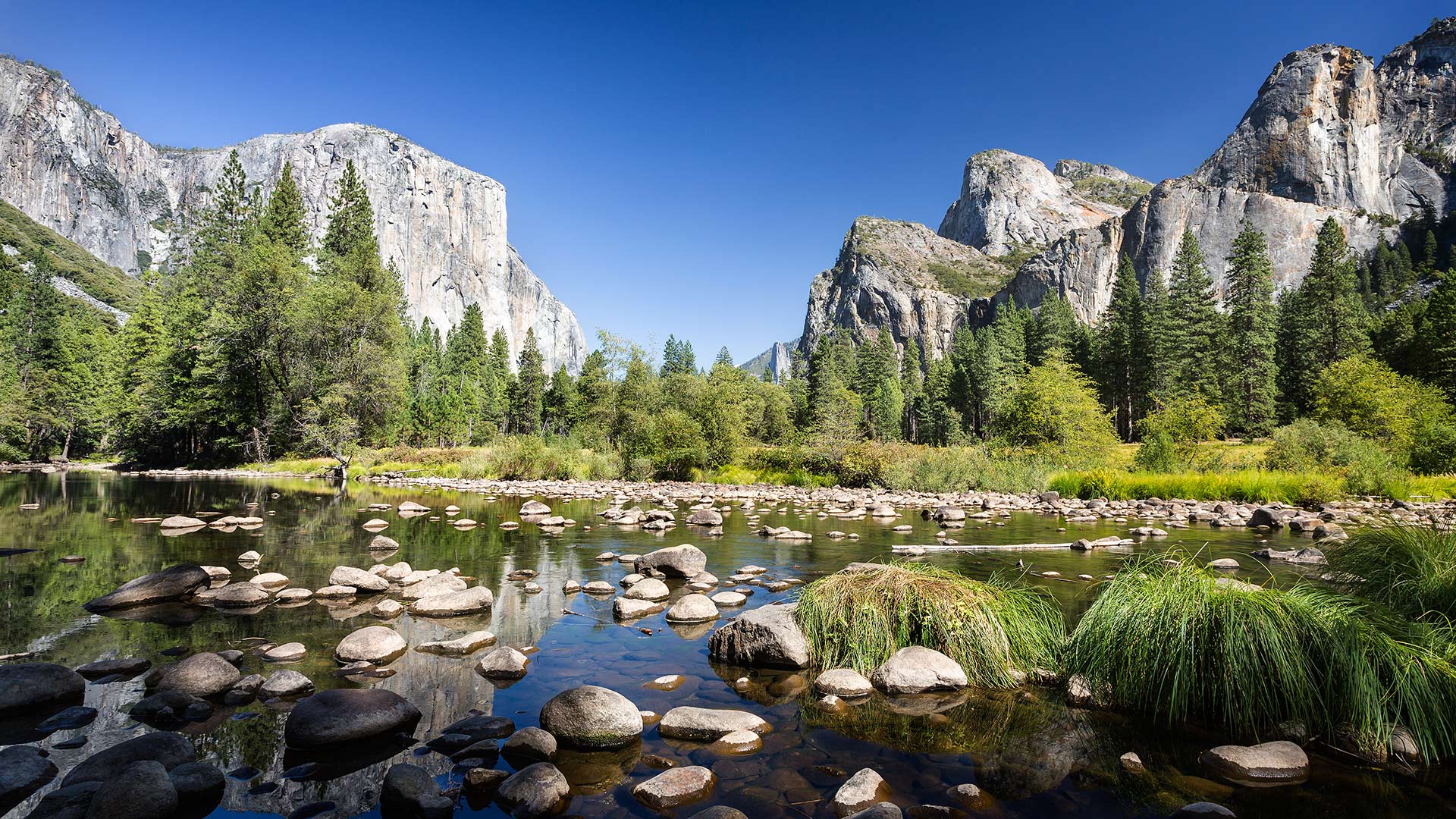 Yosemite National Park. California, USA