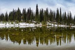 Mount Revelstoke National Park, BC