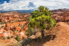 BRYCE CANYON NATIONAL PARK. UTAH