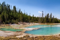 PORCELAIN BASIN. YELLOWSTONE NATIONAL PARK. WYOMING