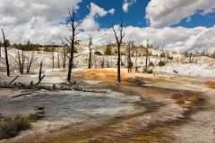 Yellowstone National Park. Wyoming