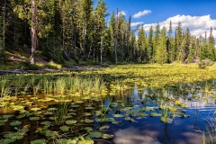 Yellowstone National Park. Wyoming