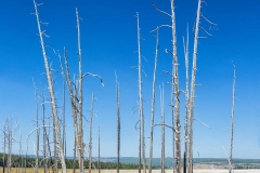 Yellowstone National Park. Wyoming