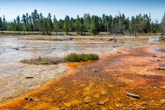 Yellowstone National Park. Wyoming