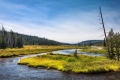 Lewis river. Yellowstone National Park. Wyoming