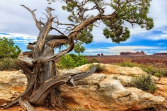 Arches National Park. Utah