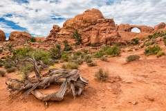 Arches National Park. Utah