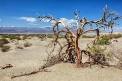 Mesquite Flat Sand Dunes. Death Valley National Park. California