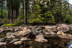 Yosemite National Park. California